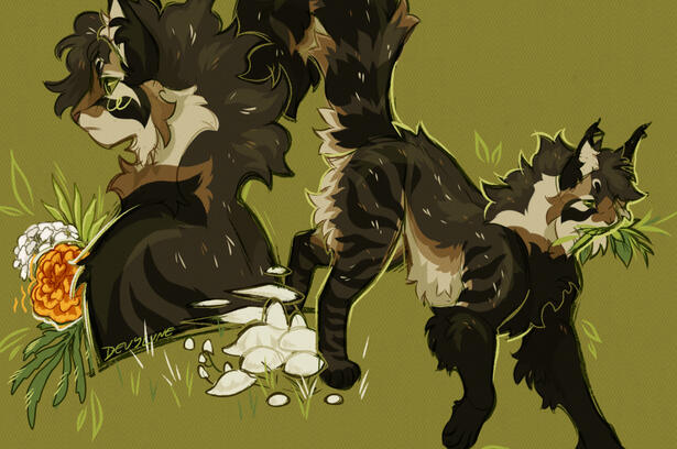 shoomy shoomy