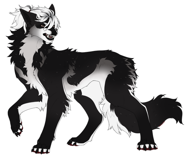wolf wolf