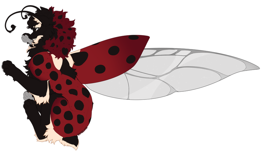 ladybug ladybug